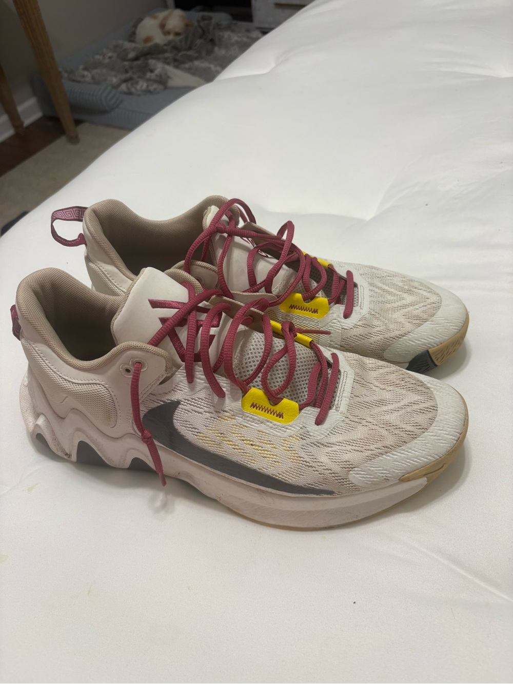 Gianis Nike basketball shoes